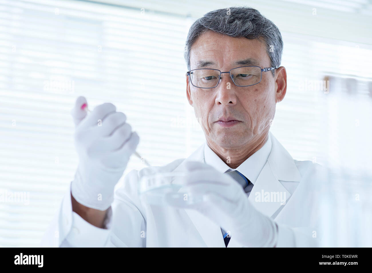 Senior Japanese researcher in the lab Stock Photo Alamy