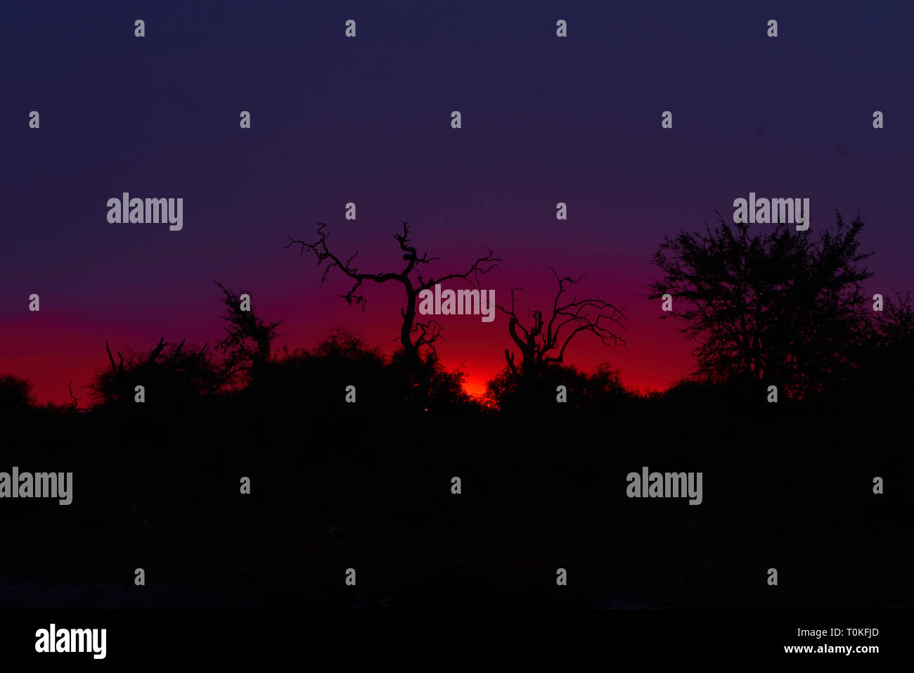 Colorfull African Sunset High Resolution Stock Photography and Images ...