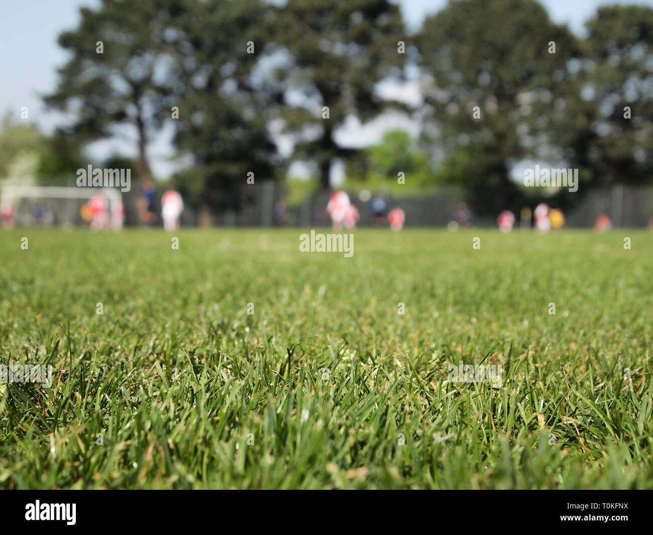 A grass football pitch with a game taking place out of focus in the background Stock Photo