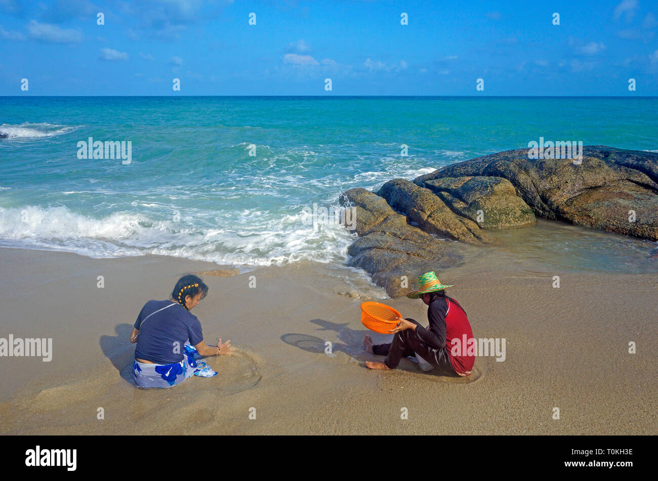 Thai women digging for mussels at the beach, Lamai Beach, Koh Samui, Gulf of Thailand, Thailand Stock Photo