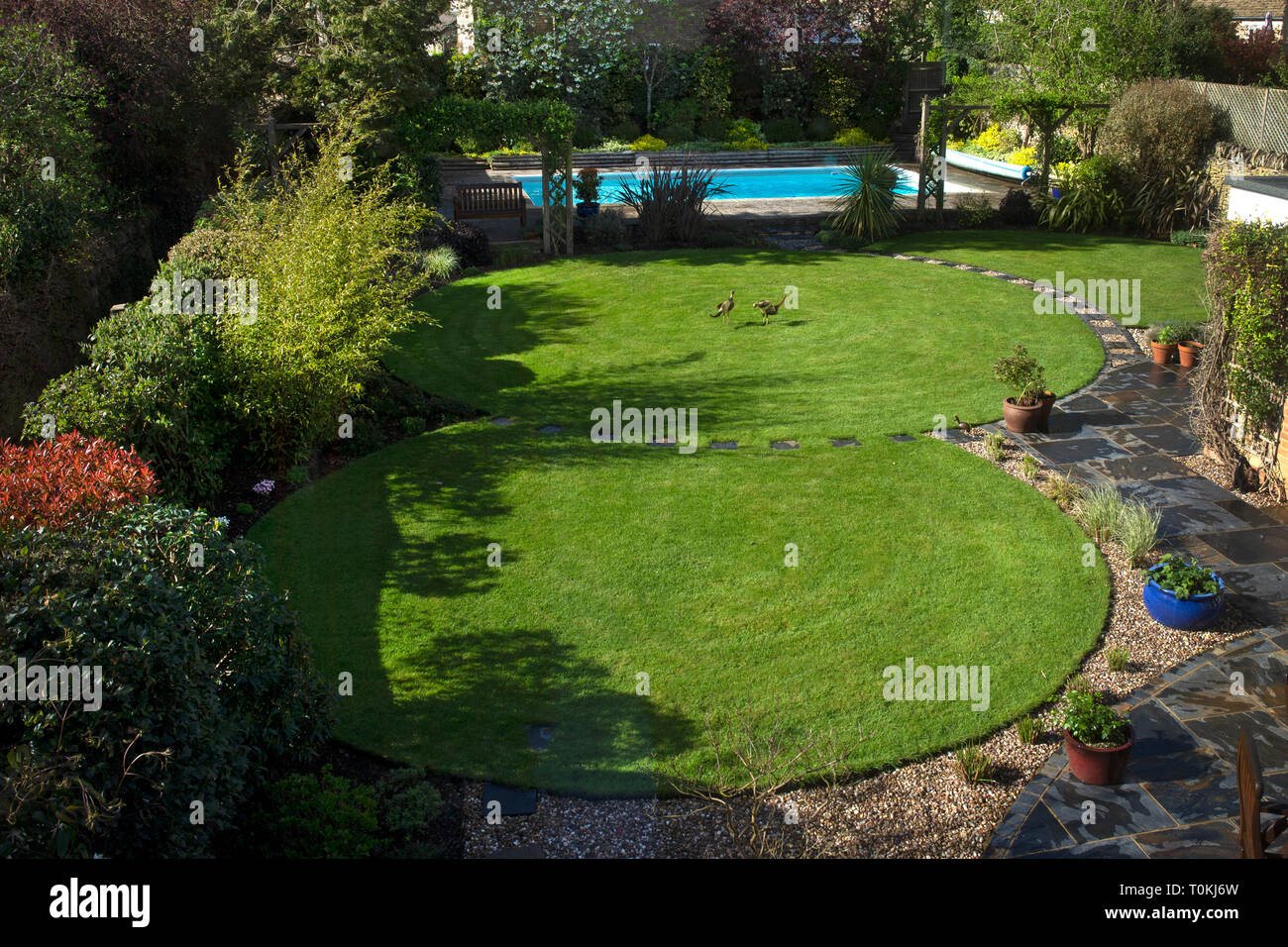 Interlinking round lawns in English Garden Stock Photo
