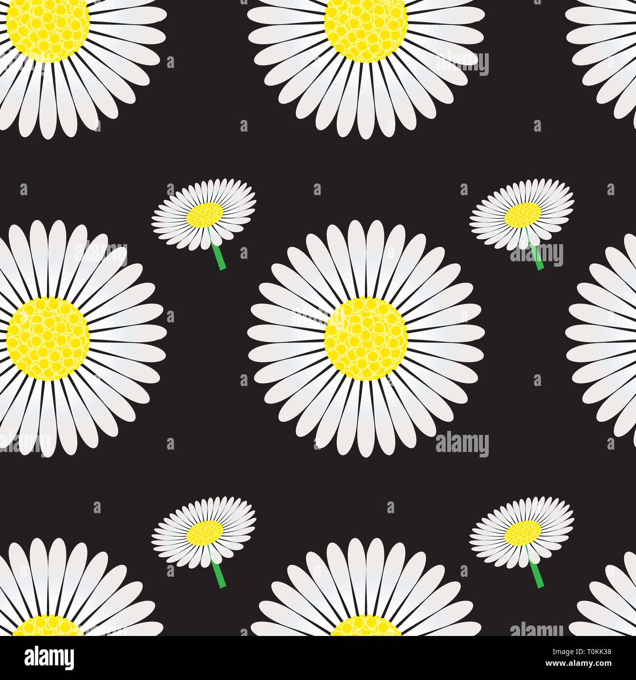 Seamless pattern with chamomile, vector illustration Stock Vector