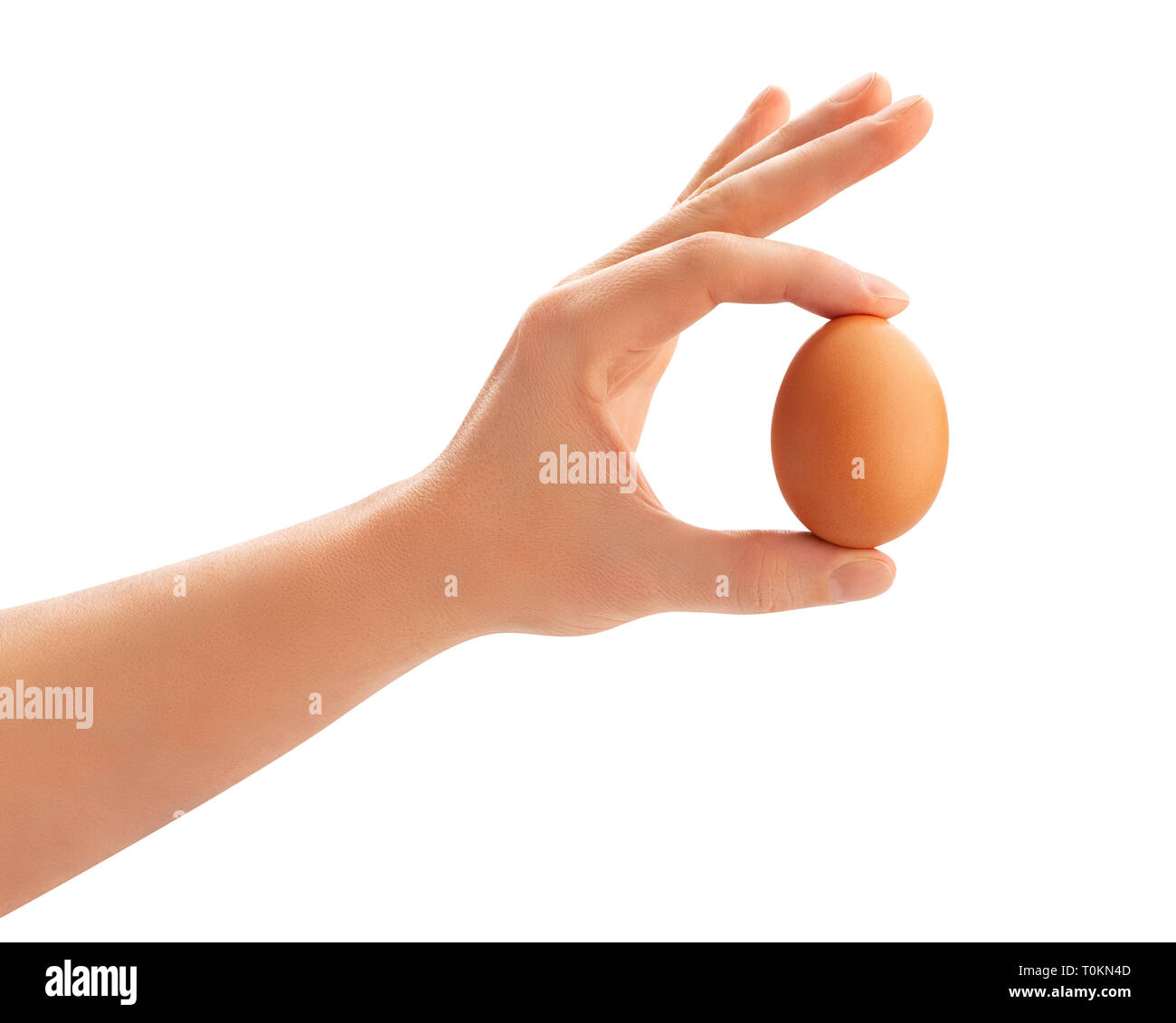 brown egg in hand path isolated Stock Photo