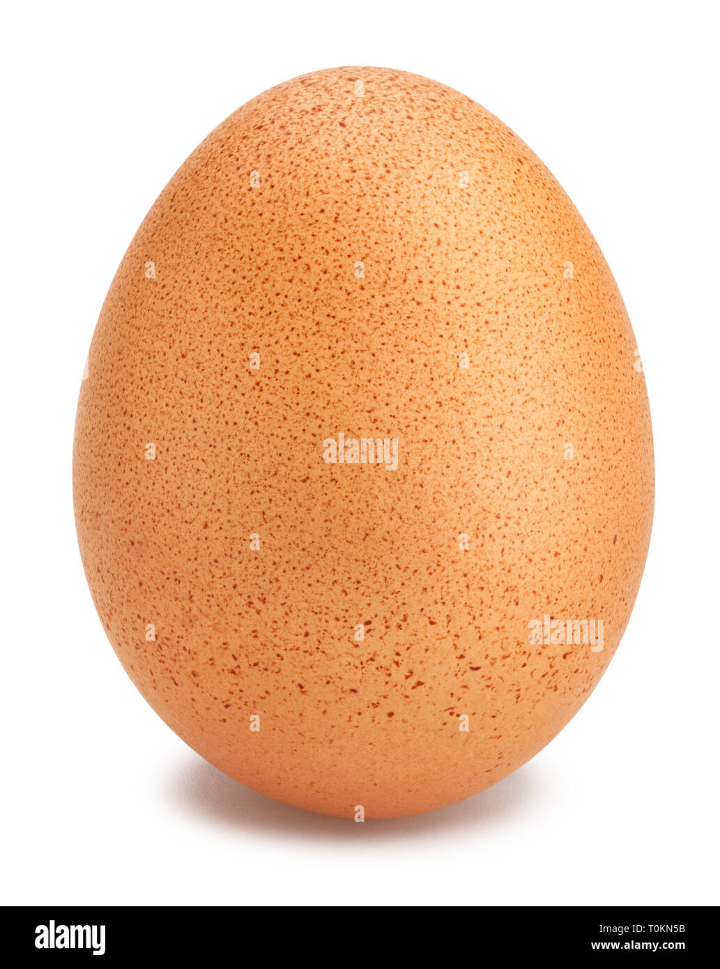 brown eggs path isolated Stock Photo