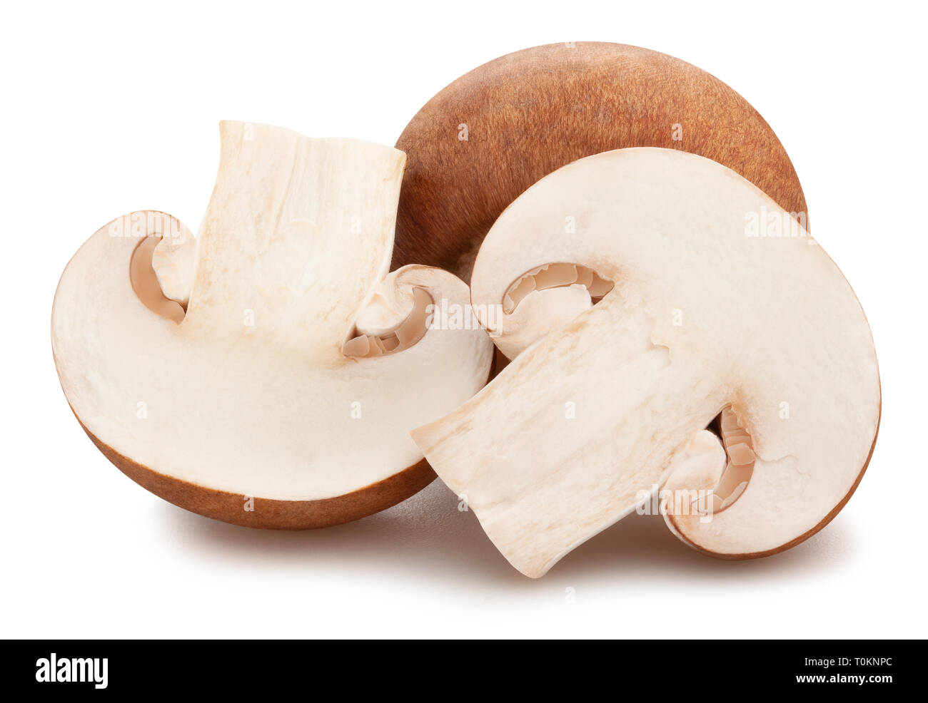 sliced brown mushrooms path isolated Stock Photo