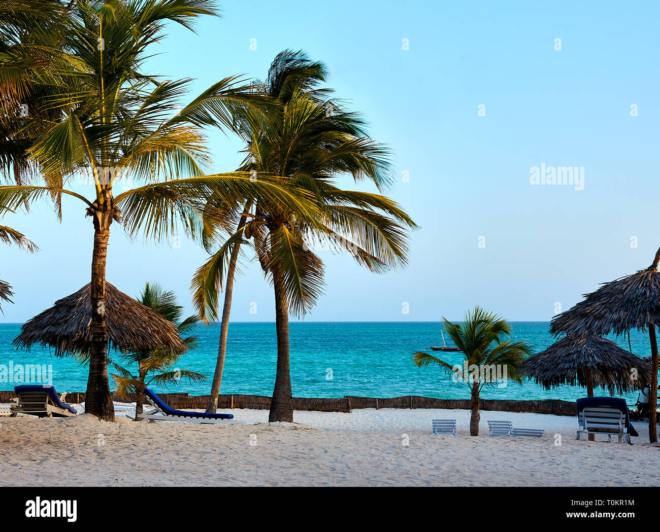 Beach blue sky sea palm trees sunny hi-res stock photography and images ...