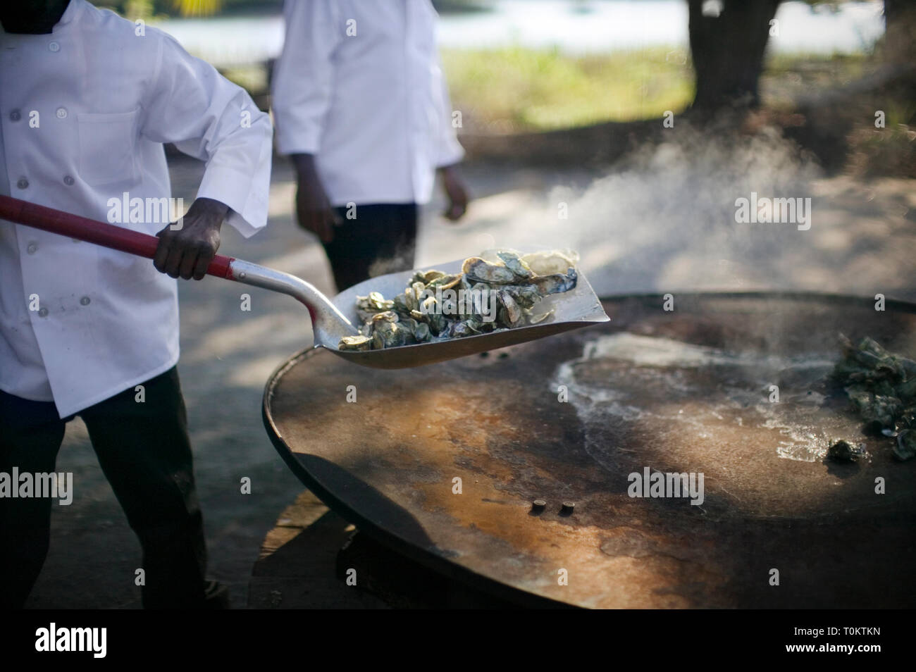 Oysters and shellfish on a shovel being added to boiling water Stock ...