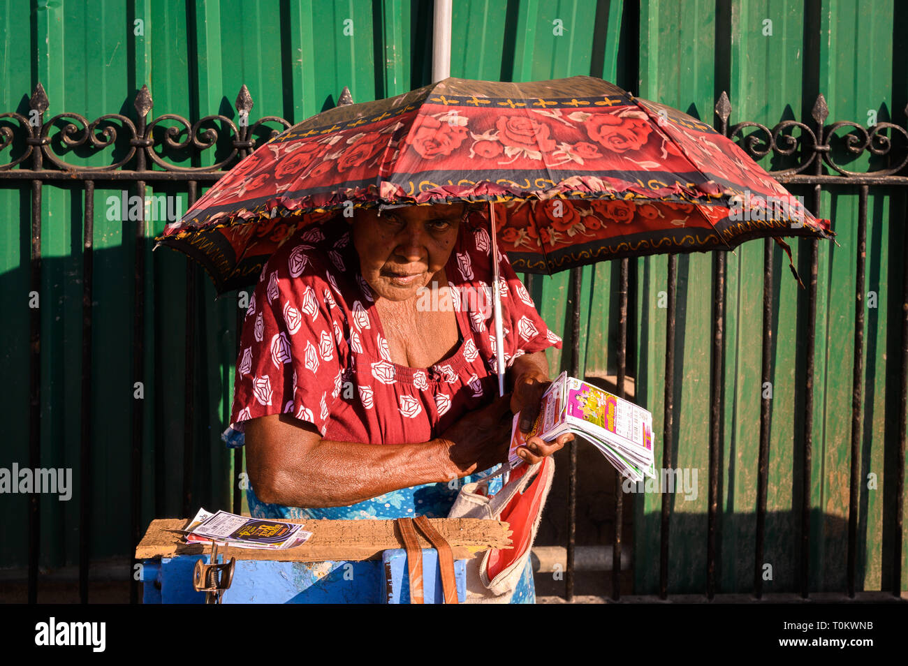 A lottery woman peers out from underneath her umbrella, Colombo, Sri Lanka Stock Photo