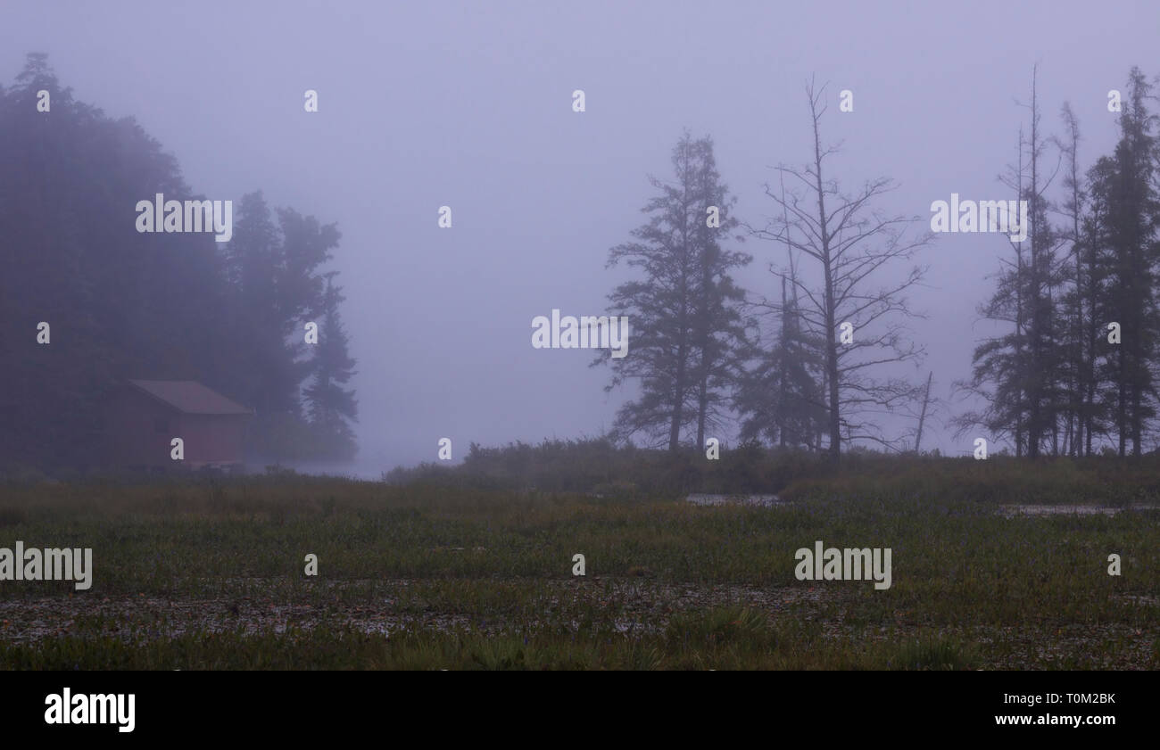 A mysterious fog rolls in from the lake to envelope a secluded boathouse. Stock Photo