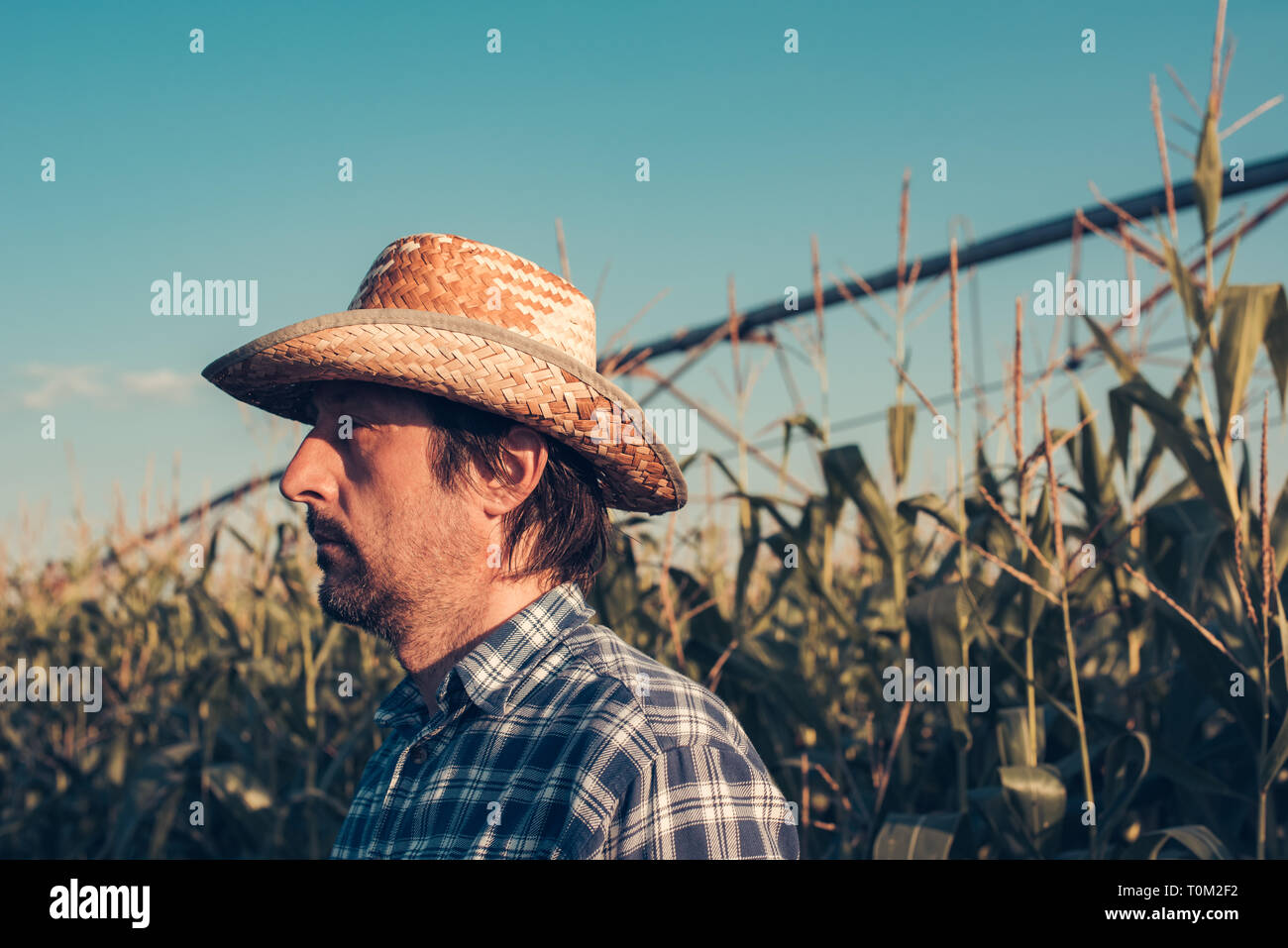 Portrait of serious farmer in corn field, looking confident and determined Stock Photo