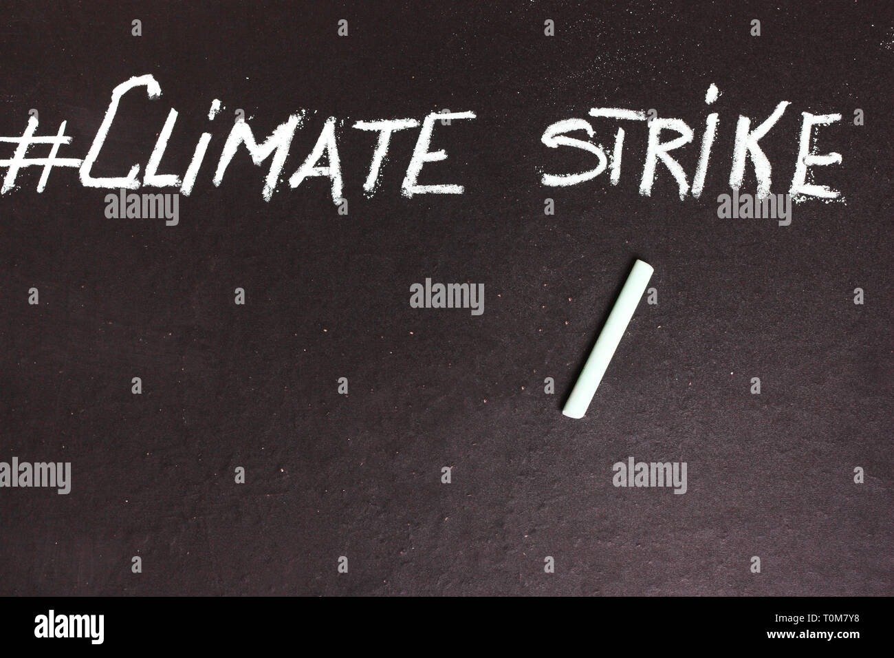 Hashtag strike climate, Demonstration, in defense of nature, the planet Earth. Eco concept Stock Photo