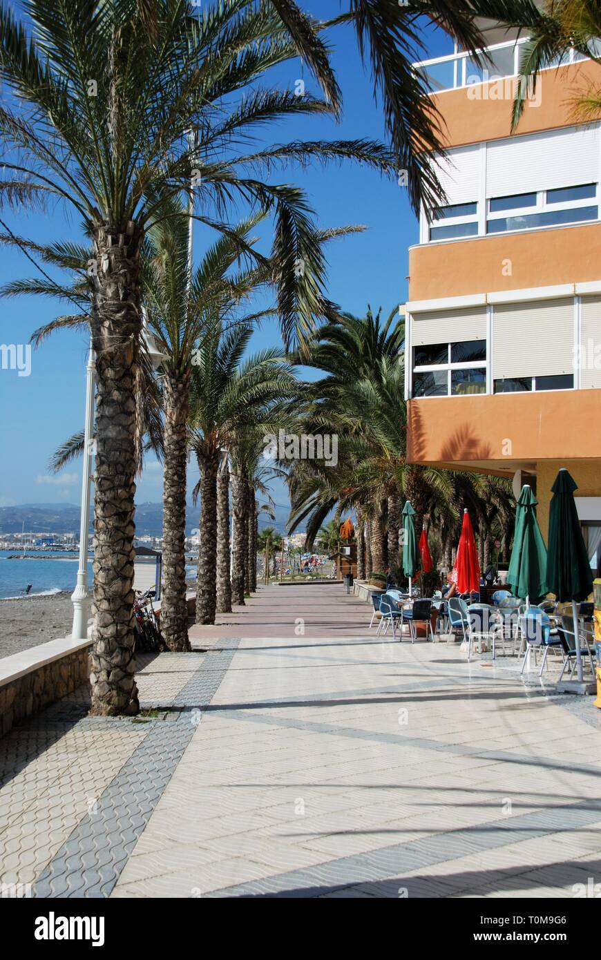 View along the palm tree lined promenade with the sea and beach to the left hand side, Lagos, Malaga Province, Andalusia, Spain, Western Europe. Stock Photo