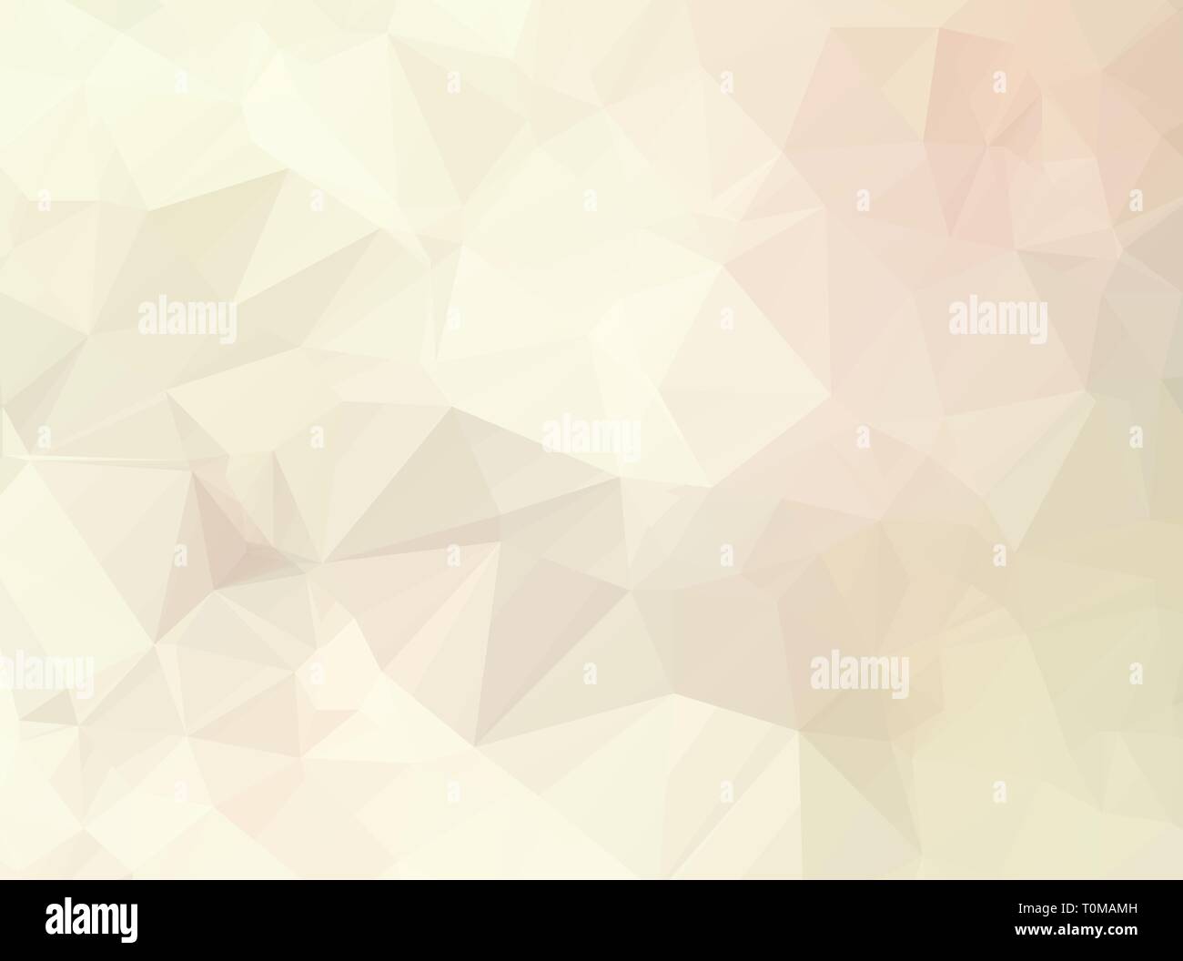 Vector Polygon Abstract modern Polygonal Geometric Triangle Background ...