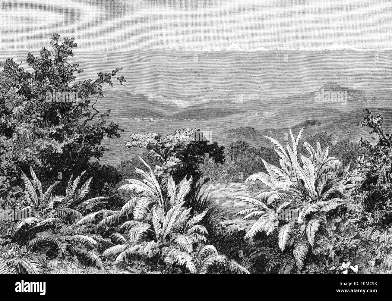 geography / travel, Colombia, landscape, valley of Rio Magdalena near Ambalema, Department Tolima, view, 2nd half 19th century, plant, planting, river, rivers, South America, no-people, landscape, landscapes, valley, vale, valleys, vales, view, views, historic, historical, Additional-Rights-Clearance-Info-Not-Available Stock Photo