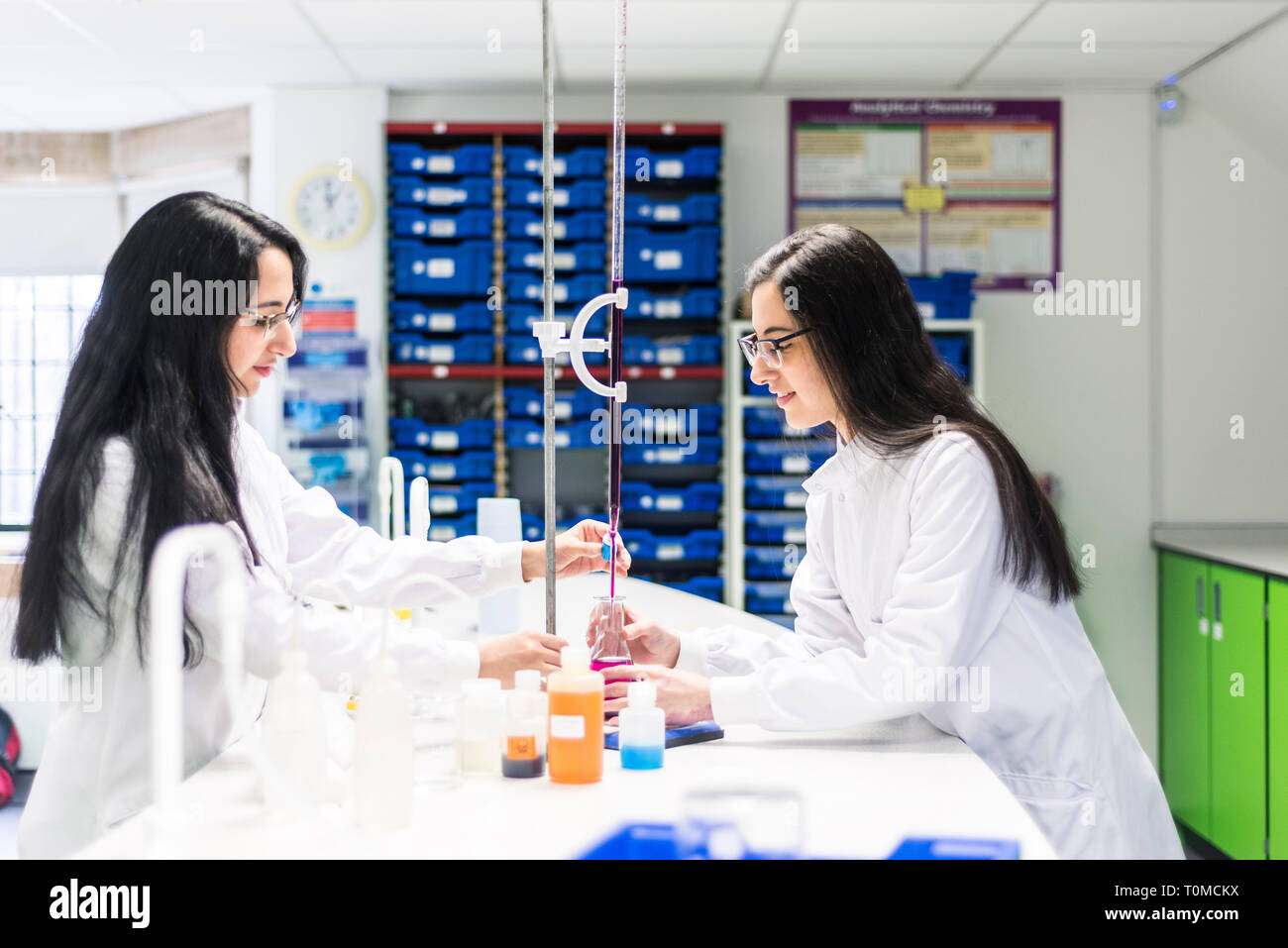 Cambridge University research team experiment Support and Future Directions