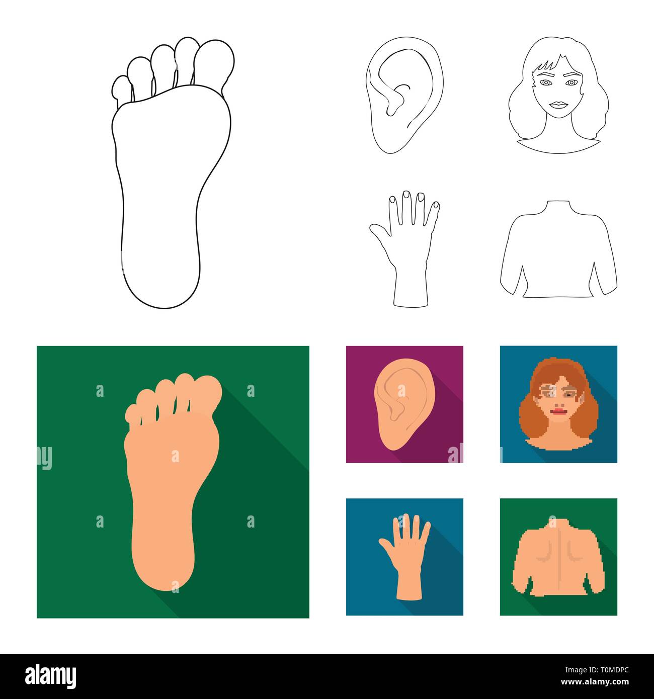 Isolated object of body and part icon. Set of body and anatomy vector ...
