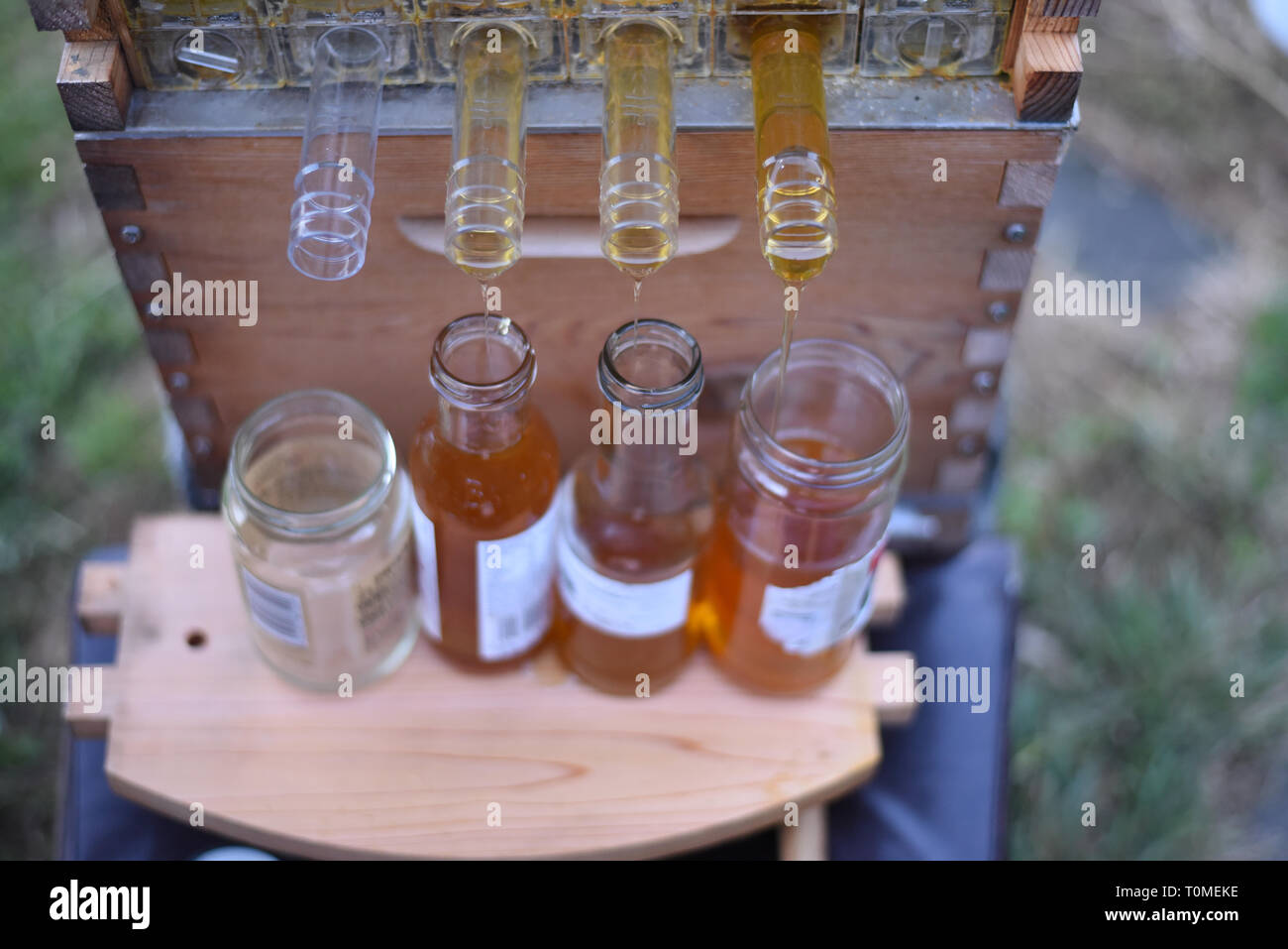 Raw Honey collects into jars from a Flow Hive Honey Super Stock Photo