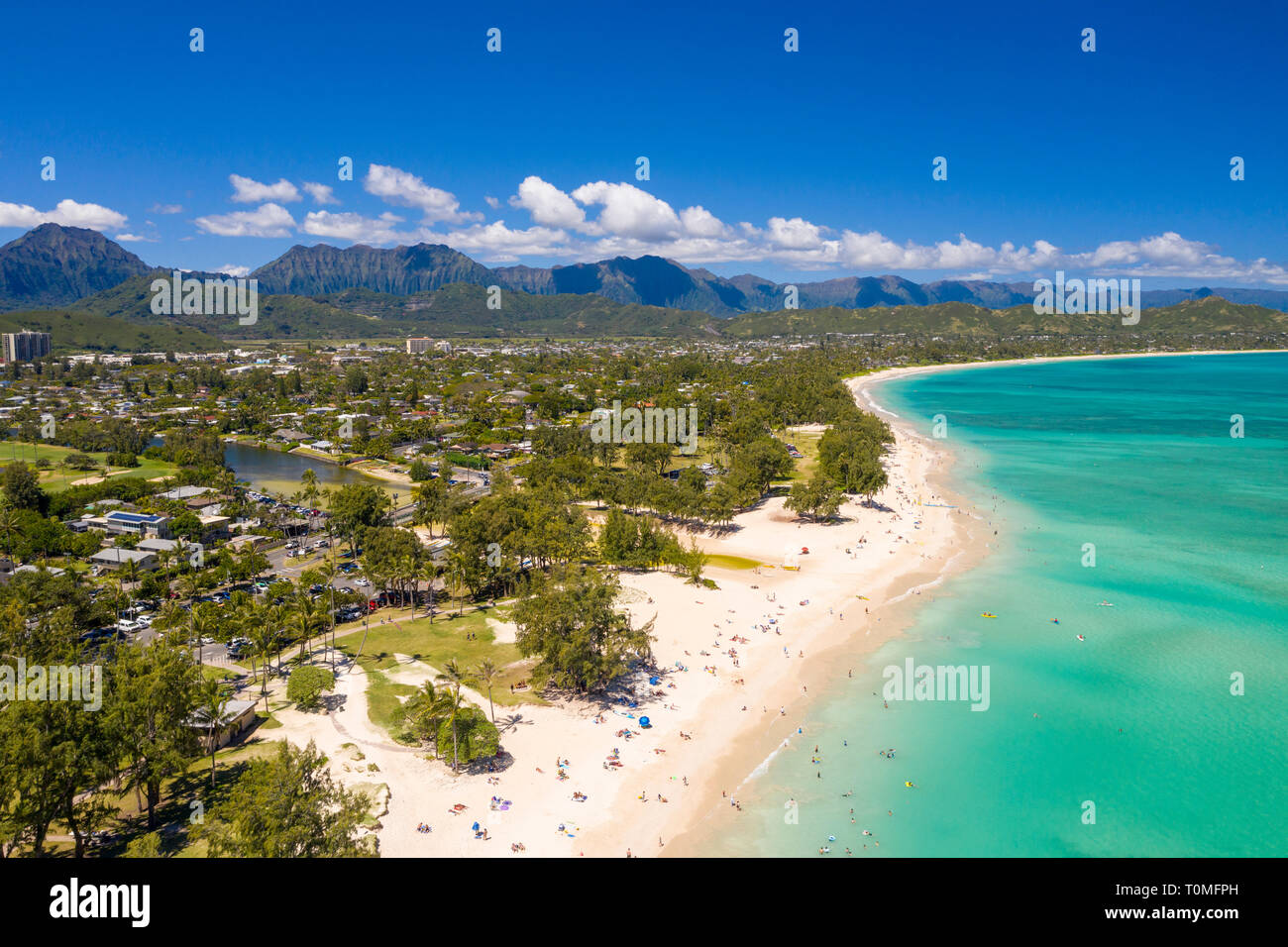 does kailua beach allow dogs