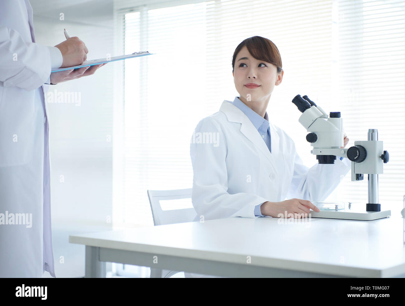 Japanese researchers in the lab Stock Photo Alamy