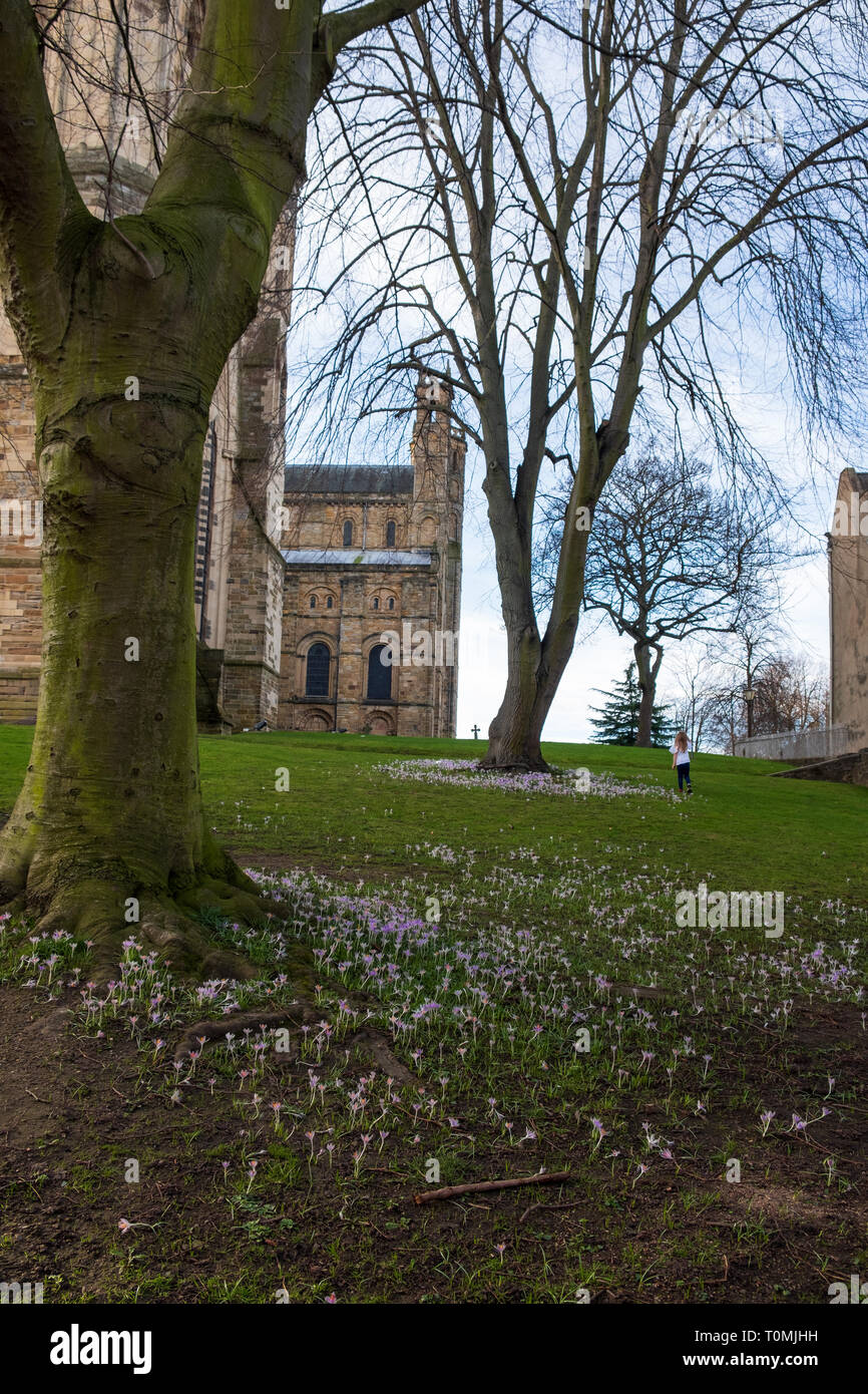 Girl runs distance hi-res stock photography and images - Alamy