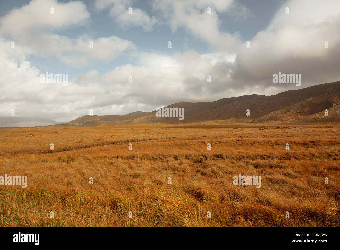 Autumn landscape in the west of Ireland Stock Photo