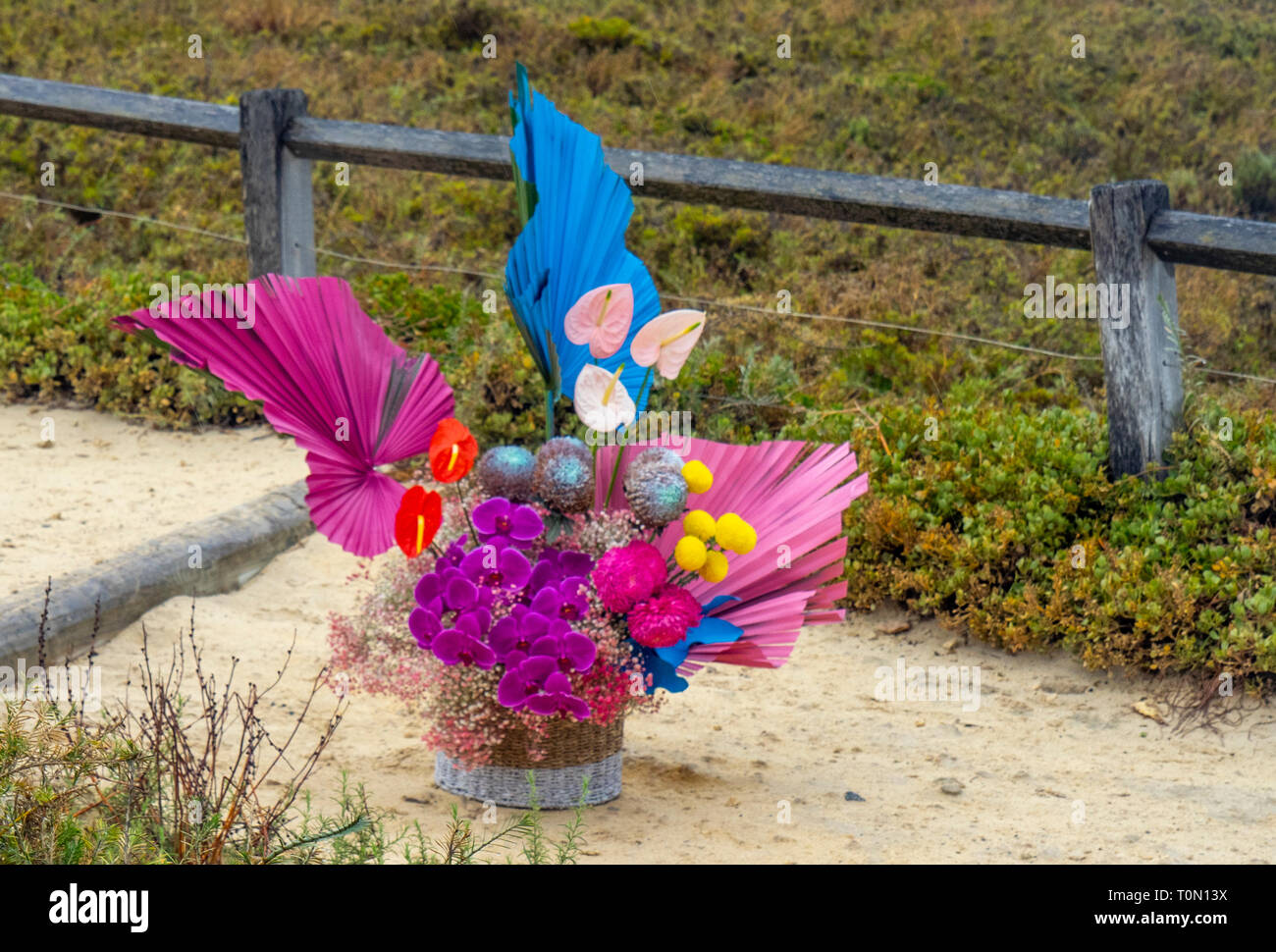 Colourful bouquet of flowers on a path. Stock Photo