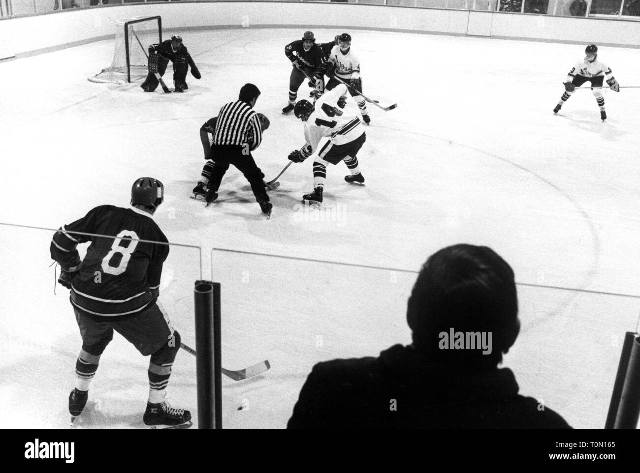 sports, winter sports, ice hockey, game, faceoff in front of the goal