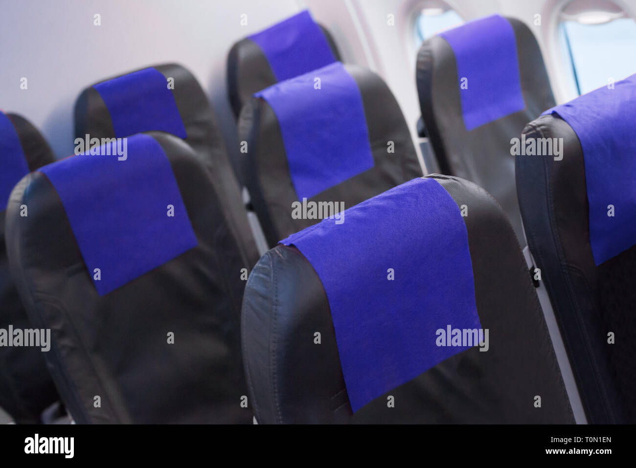 Airplane seat. Empty seat in plane Stock Photo Alamy