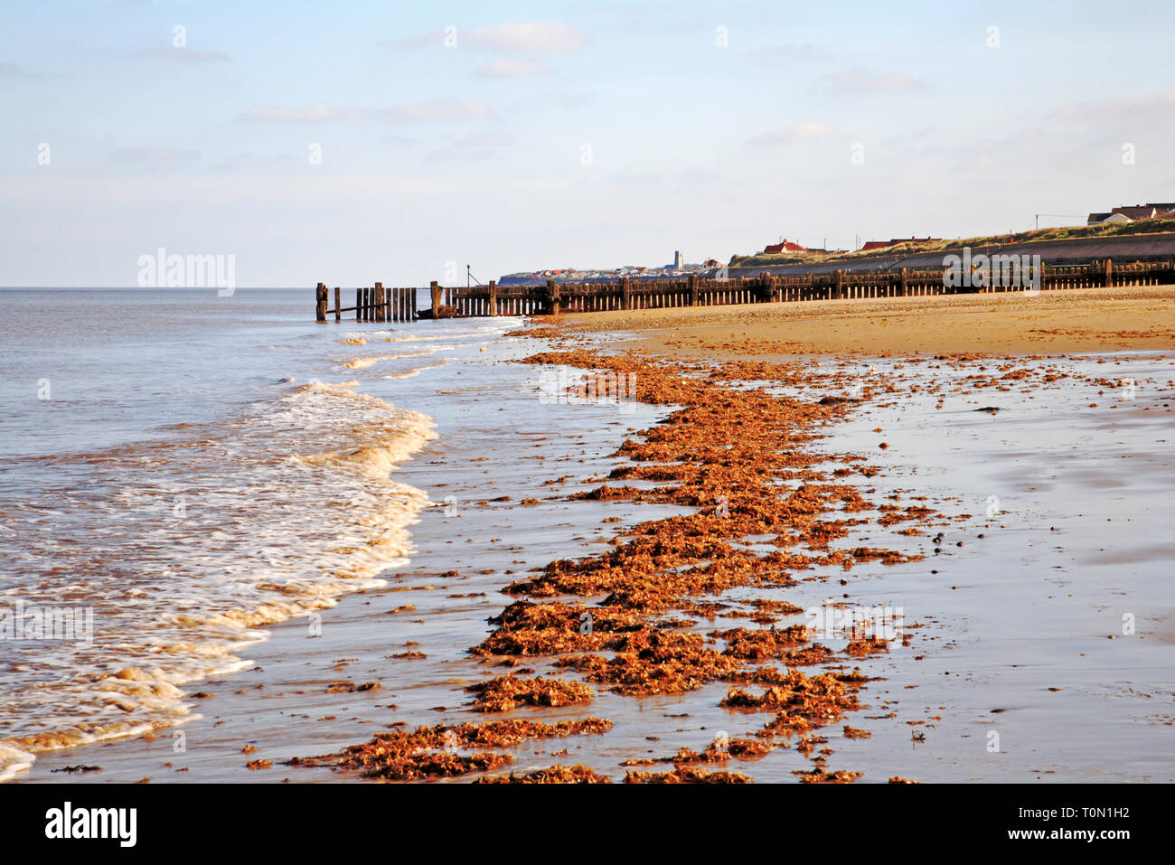 The shoreline with washed-up seaweed on the North Norfolk coast at ...