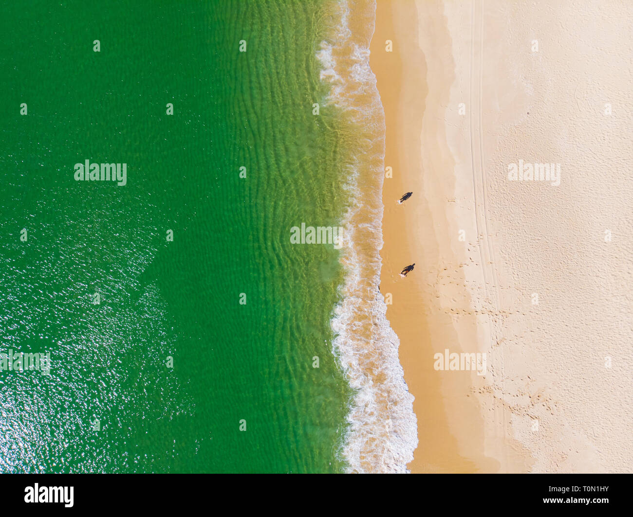 Aerial View Of Carvalhal Beach In Comporta Portugal Stock Photo Alamy