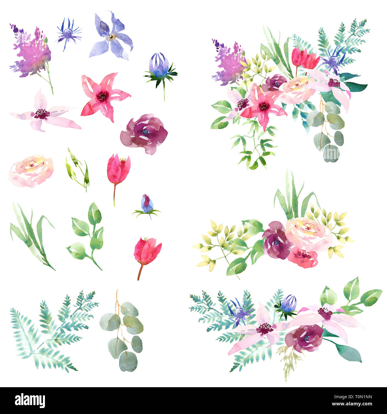 Collection Spring Romantic Pink Purple And White Flowers Green Leaves For Wedding Invitation Card Can Used In Greating Cards Stock Photo Alamy