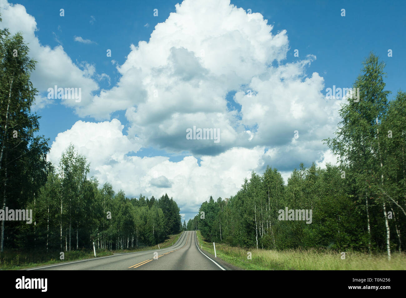 Fields, trees and road with blue sky and clouds Stock Photo - Alamy