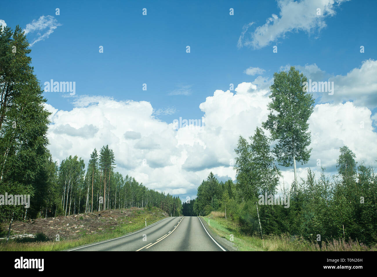 Fields, trees and road with blue sky and clouds Stock Photo - Alamy