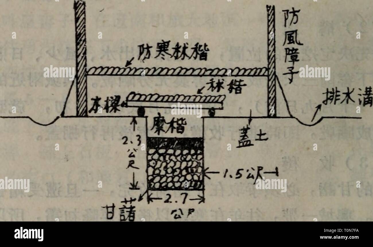 Dong Bei Nan Bu Zhu Dong Bei Nan Bu Zhu Yao Shu Cai Zai Pei Fa Dongbeinanbuzhuy00chui Year 1954 2 6 A 4 A Cª A Cªaa Aecªaºeªa 3a Acae A I C Ae Cªaºacªa Eªa G A 7 A Acc C Ac Ea E I C A E Ae E A Ac A Aeea Cce Ae Ae Ea C A C Cªca E A Ceµ A I A