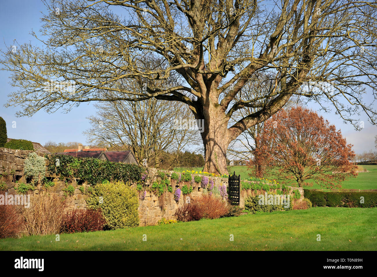 Walled Garden North Yorkshire England UK Stock Photo Alamy