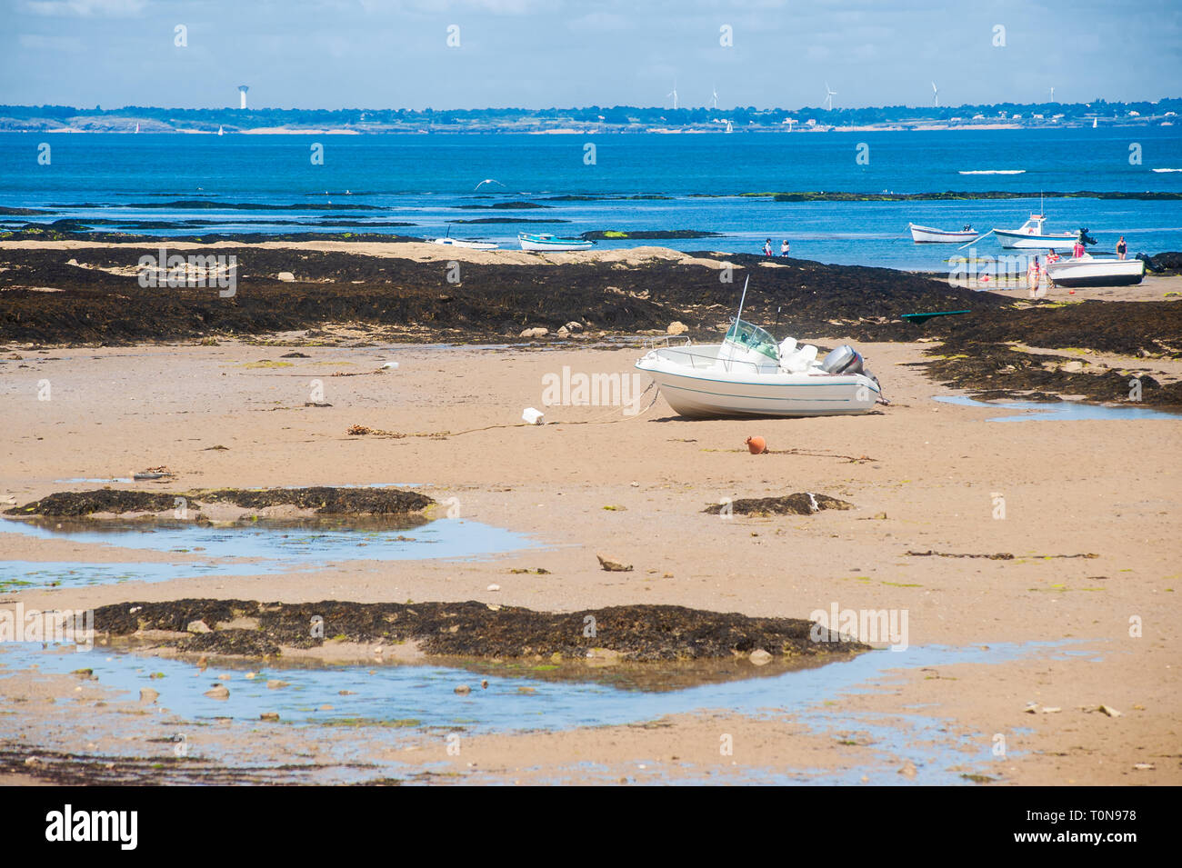 view on the beach of le petit vieil on the isle of Noirmoutier in summertime with some people on it Stock Photo