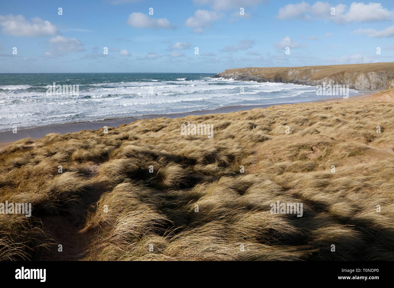 Holywell Bay, Cornwall, England, UK Stock Photo Alamy