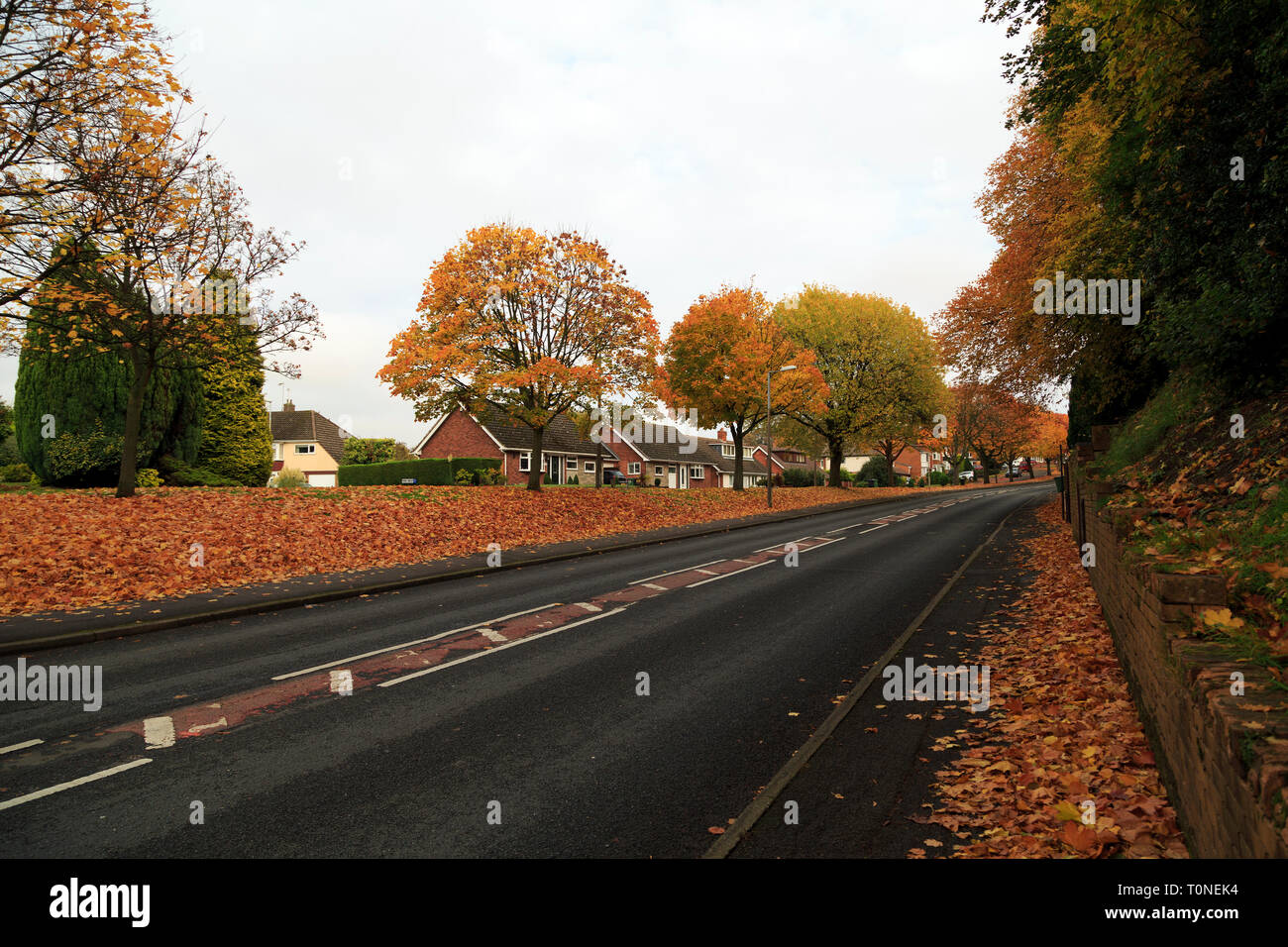 Stourbridge Landscape, England Stock Photo