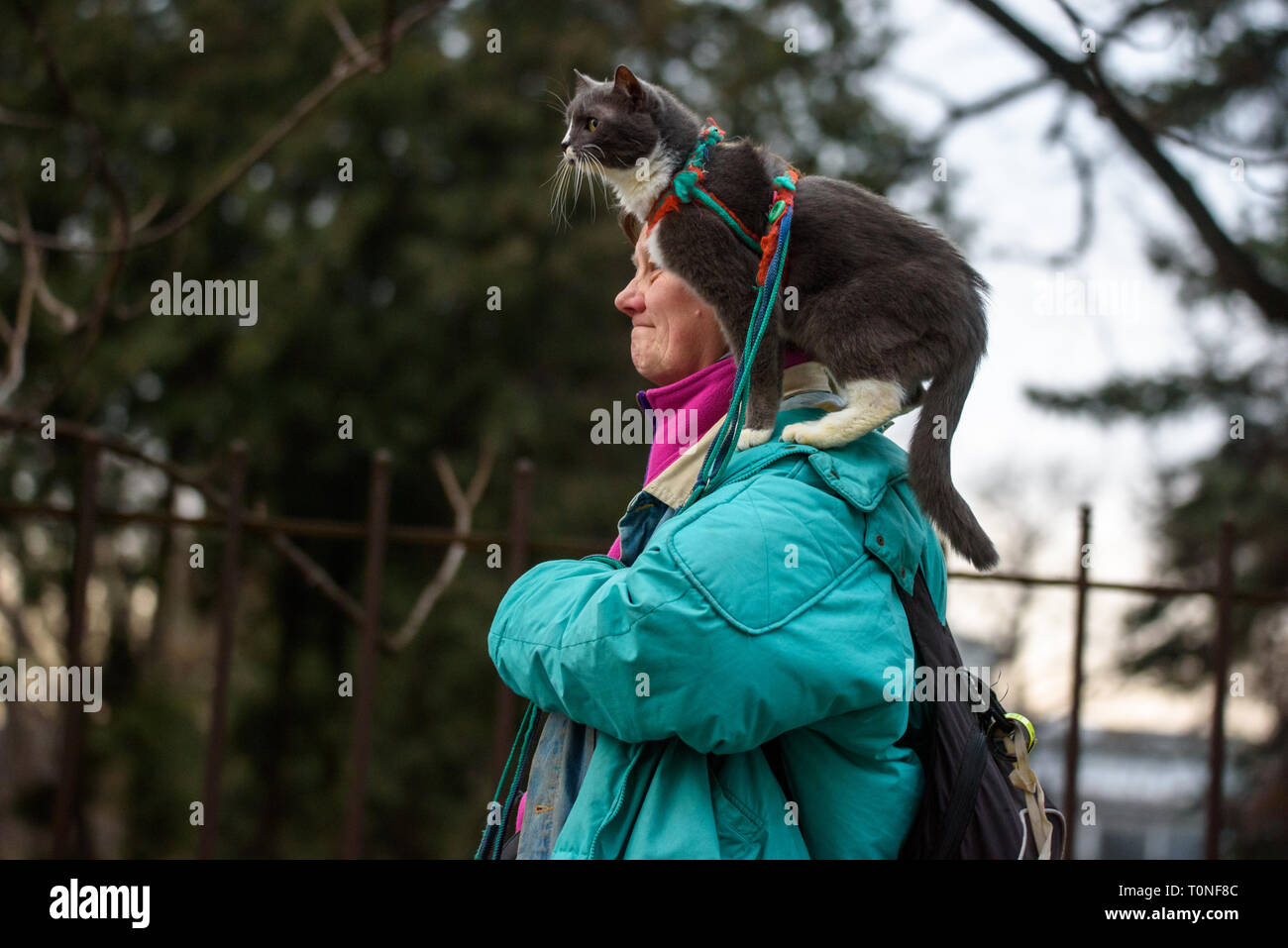 18.02.2019. RIGA, LATVIA. Woman walking on the street with her cat on shoulder. Stock Photo