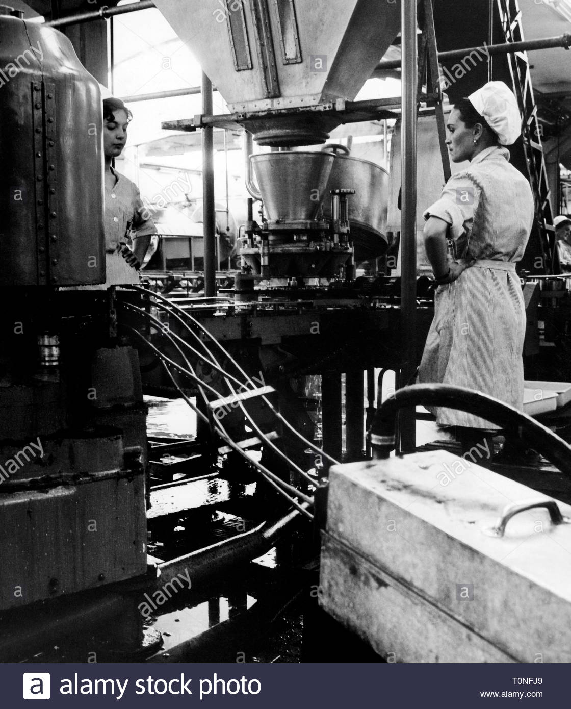 tinning machine, de rica peas, italy 1967 Stock Photo