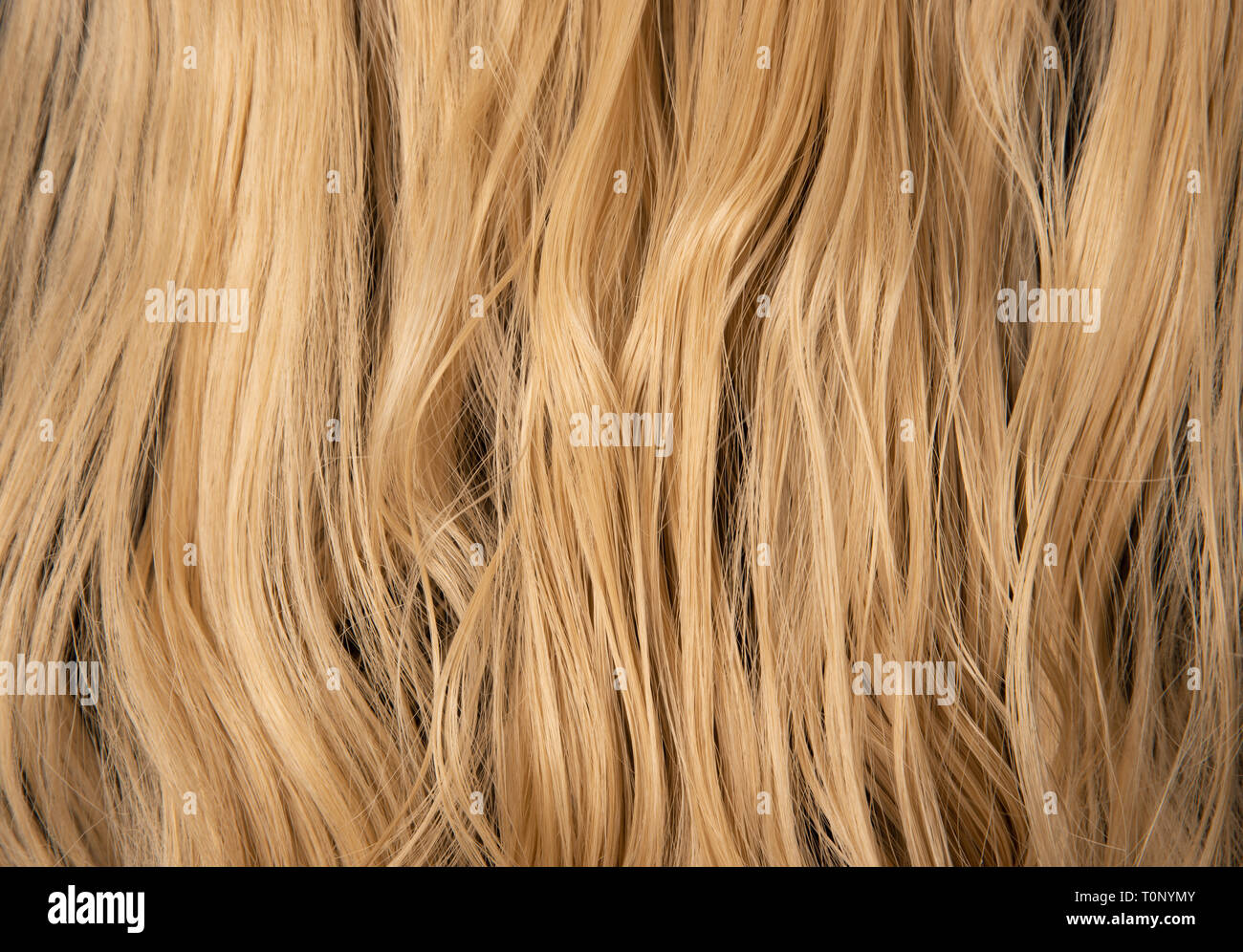 blond auburn long curly hair from the back, slightly wet and wavy. hair extensions style cut and colored in a flow hanging down. beauty high fashion. Stock Photo