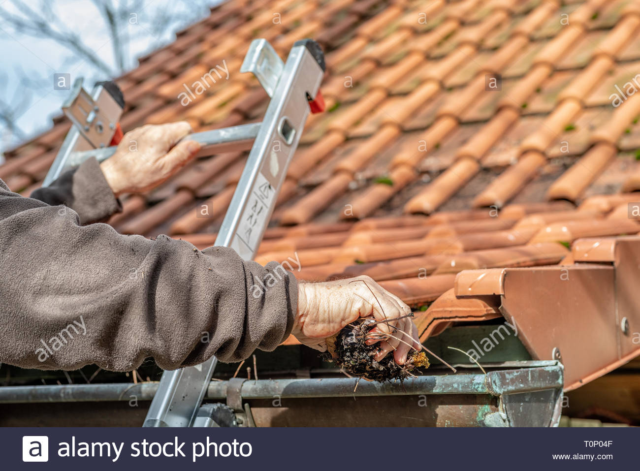 Man on a ladder cleaning house gutters Stock Photo - Alamy