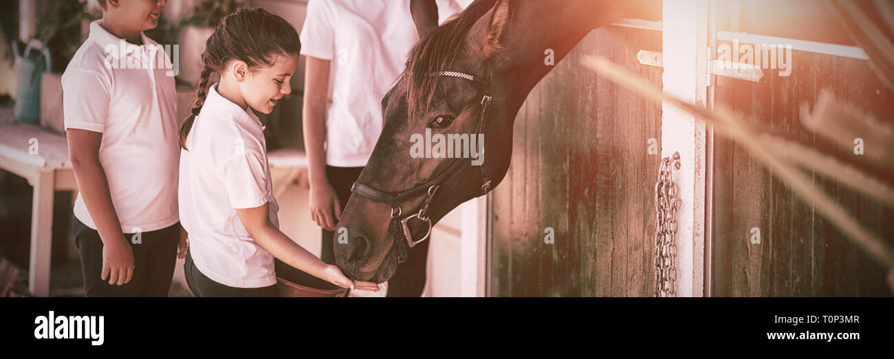 Three kids feeding the horse in stable Stock Photo