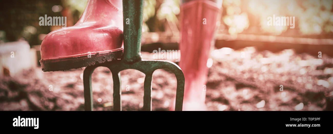 Low section of woman wearing pink rubber boot standing with gardening fork on dirt Stock Photo