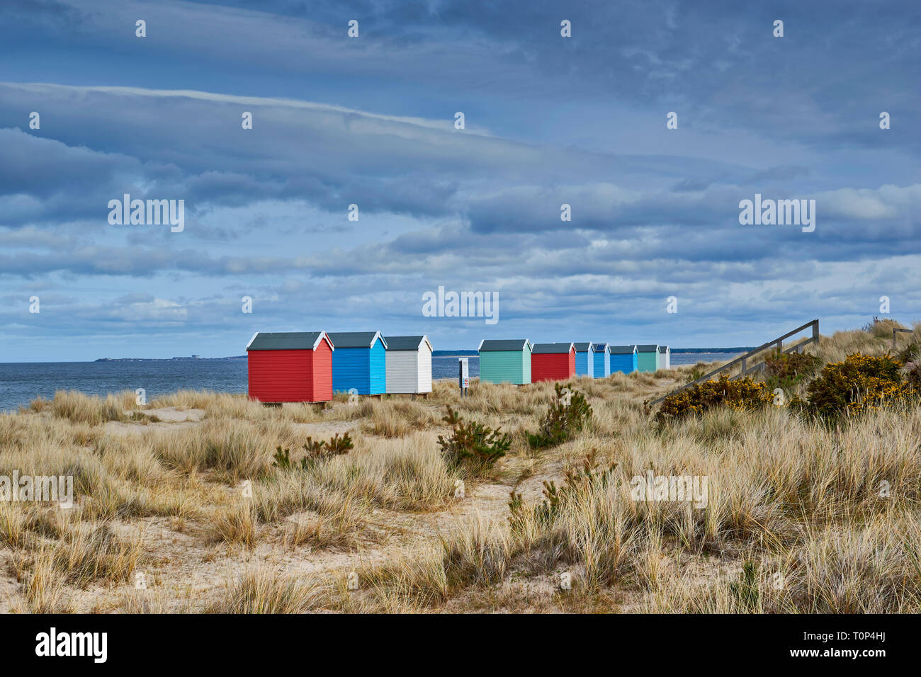 FINDHORN BEACH MORAY FIRTH SCOTLAND PASTEL COLOURED CHALETS OR BEACH HUTS ON  BEACH WITH SEA GRASS Stock Photo