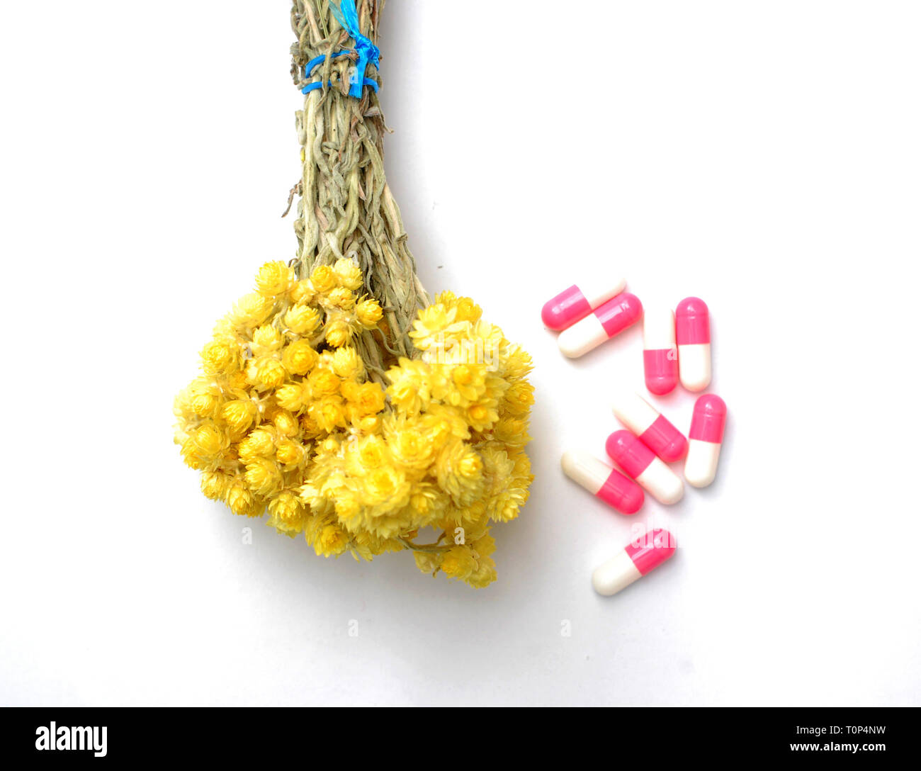 Helichrysum flower and medicine capsules, health concept Stock Photo Alamy