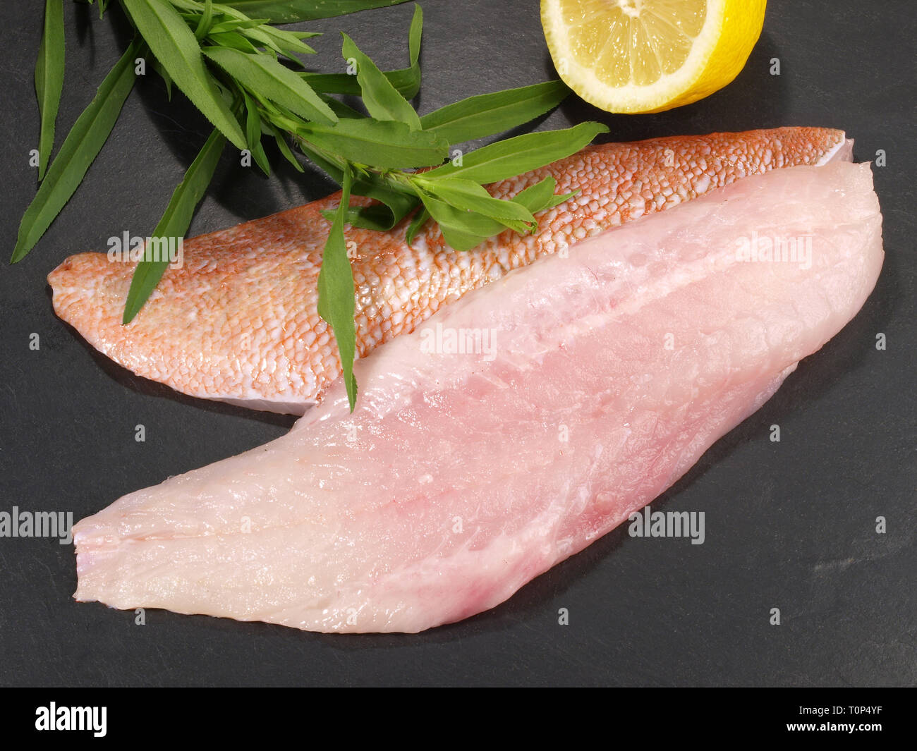 Red Perch Fillet on White Stock Photo