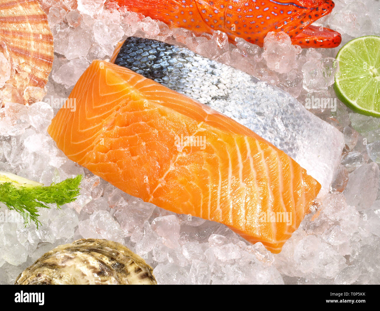 Seafood and Fish raw Stock Photo