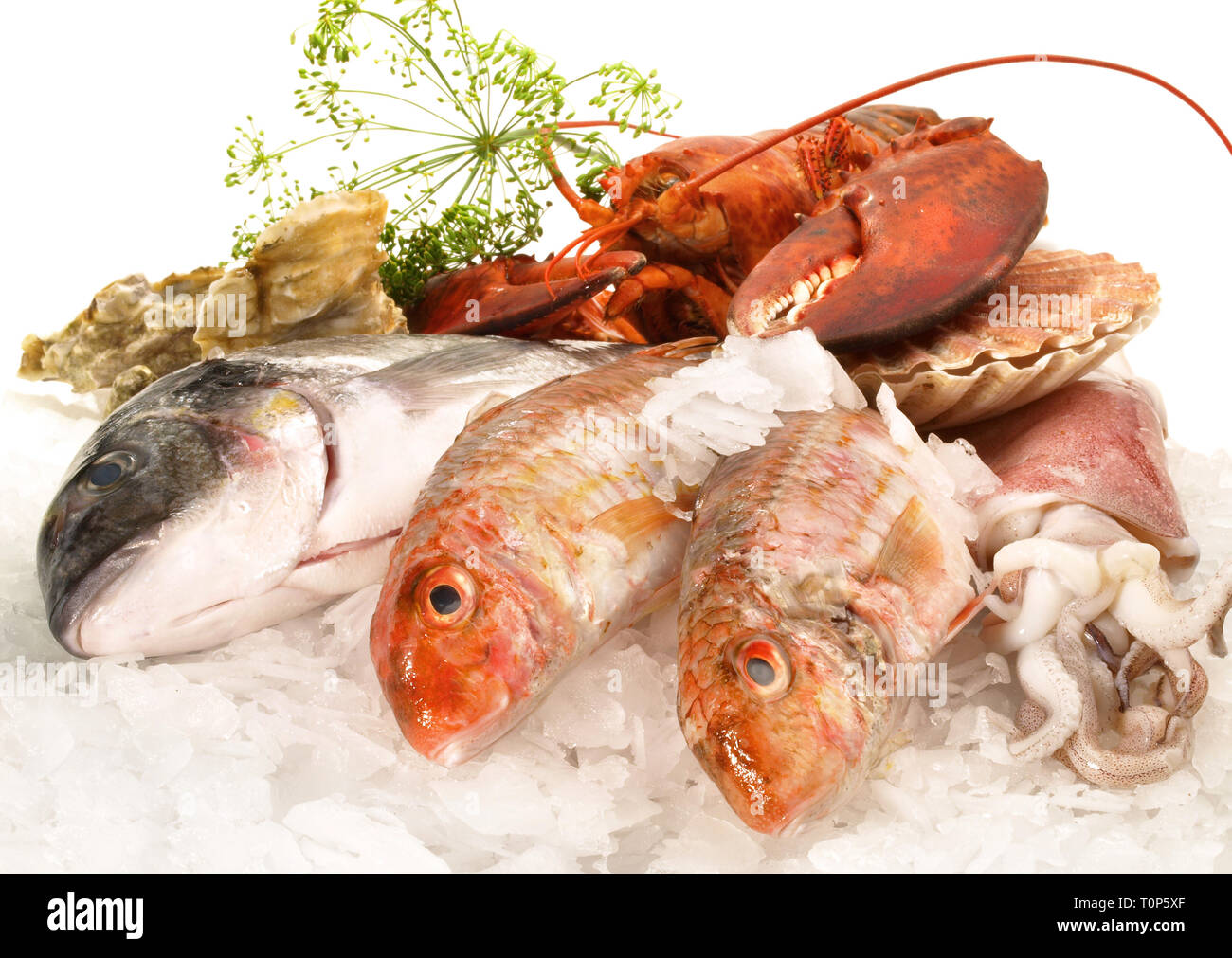 Seafood and Fish on white Background Stock Photo Alamy