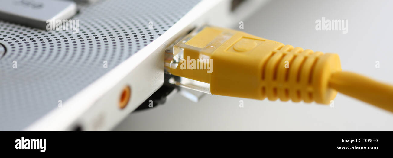 The network connector is inserted into the laptop Stock Photo Alamy